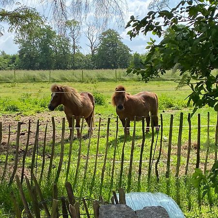 Bed & Breakfast 5 Min From E47 - Dogs Welcome - Cosy Farm Bnb Tureby Exterior foto