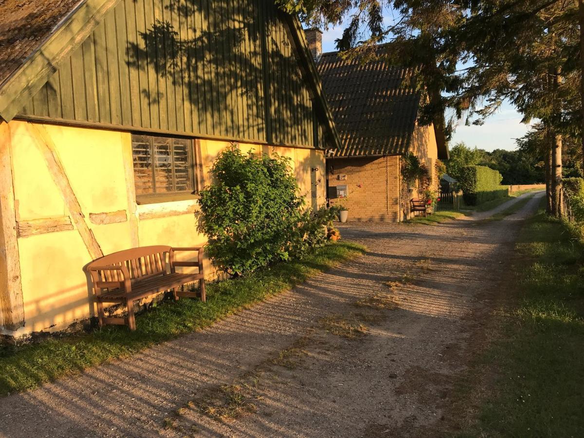 Bed & Breakfast 5 Min From E47 - Dogs Welcome - Cosy Farm Bnb Tureby Exterior foto